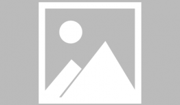 国产精品久久久久一级毛片,揭秘久久久久一级毛片的魅力与争议